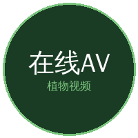 在线AV